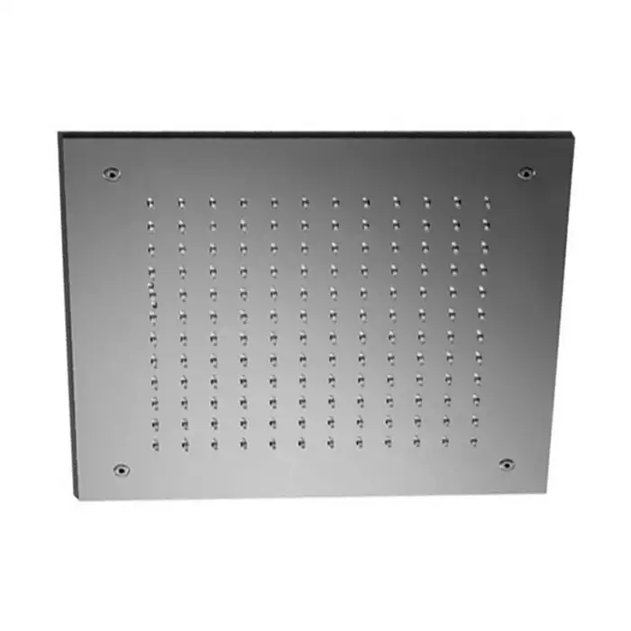 Ceiling mounted stainless steel showerhead