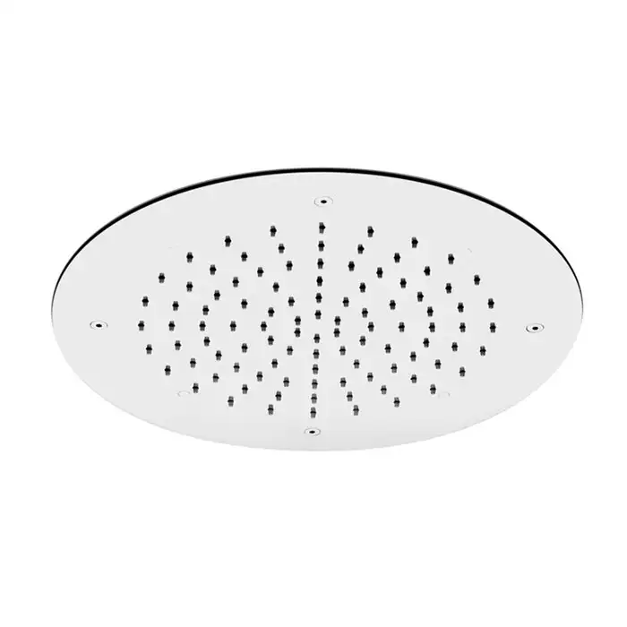 Ceiling mounted stainless steel showerhead