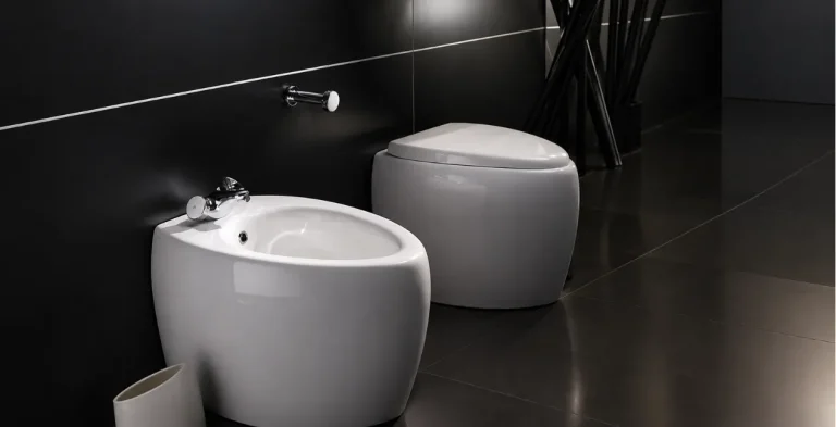 Bidet Mixer